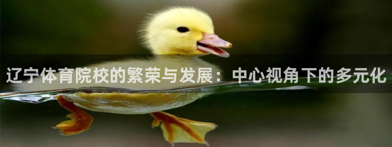 3377体育官方正版app娱乐下载：辽宁体育院校的繁