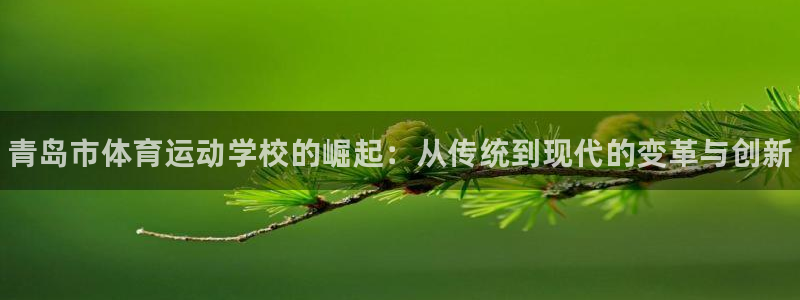 3377体育官网下载招商电话号码查询是多少：青岛市体