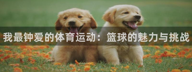 3377体育官方正版app五金厂：我最钟爱的体育运动