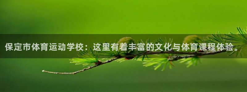 3377体育官方正版app娱乐是那个系列的台子：保定