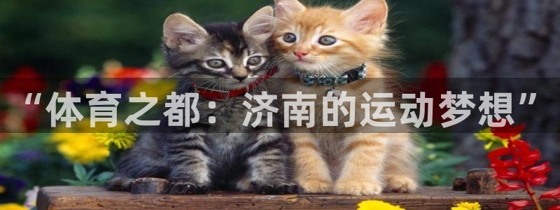 3377体育官网下载招商电话号码是多少啊：“体育之都