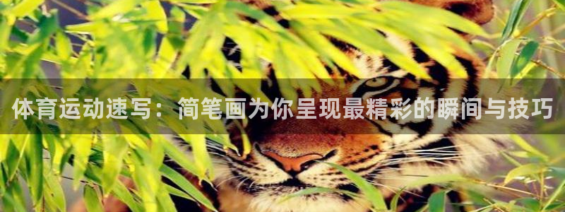 3377体育官方正版app娱乐代理怎么样：体育运动速