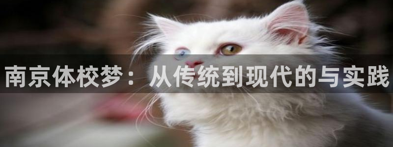 3377体育官网下载联系电话：南京体校梦：从传统到现