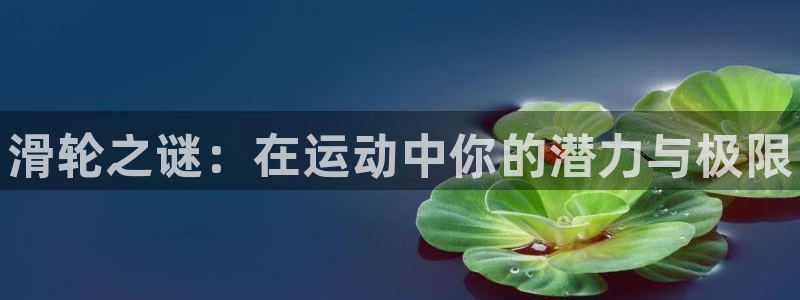 3377体育官方正版app集团：滑轮之谜：在运动中你