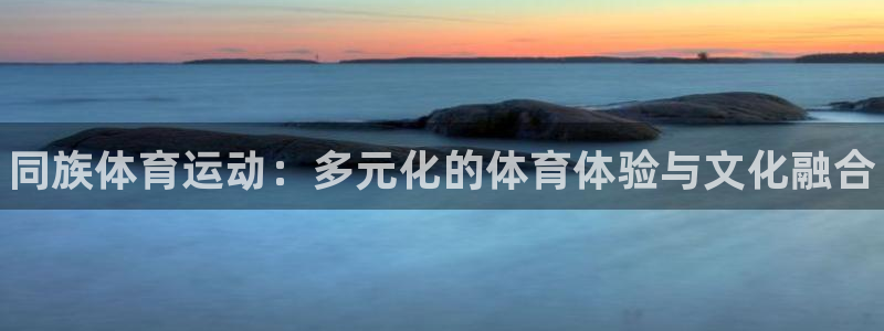 3377体育官网下载平台：同族体育运动：多元化的体育体验与文