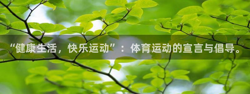 3377体育官网下载：“健康生活，快乐运动”：体育运