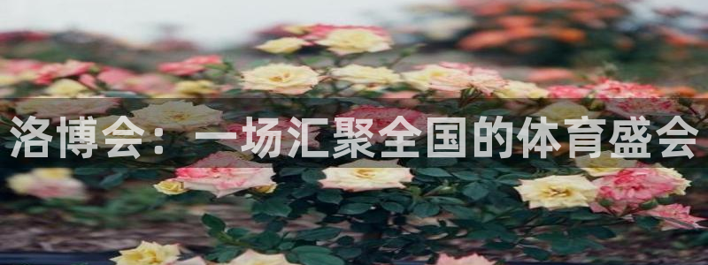 3377体育官方正版app官网：洛博会：一场汇聚全国