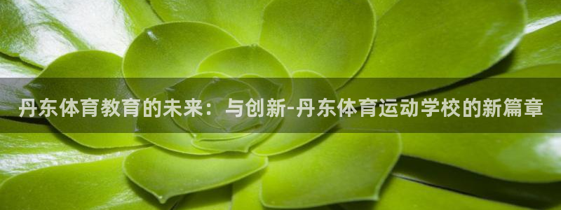 3377体育官方平台体育：丹东体育教育的未来：与创新