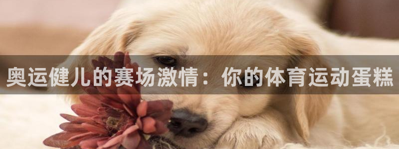 3377体育官网下载招商电话地址查询：奥运健儿的赛场
