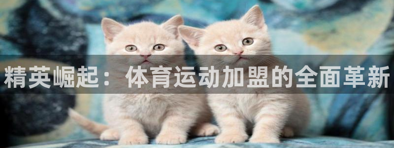 3377体育官网下载平台是正规平台吗安全吗：精英崛起