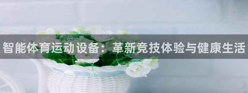 海南3377体育官网下载