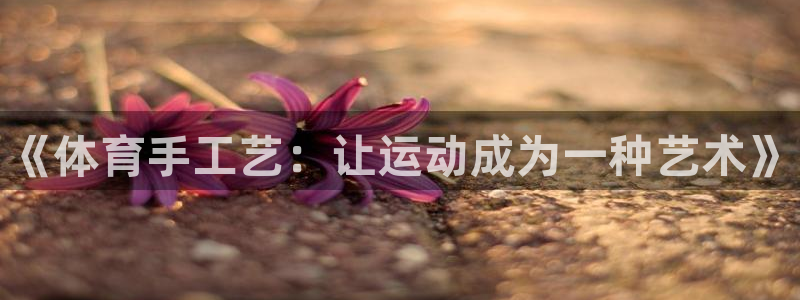 3377体育官方平台体育：《体育手工艺：让运动成为一种艺术》