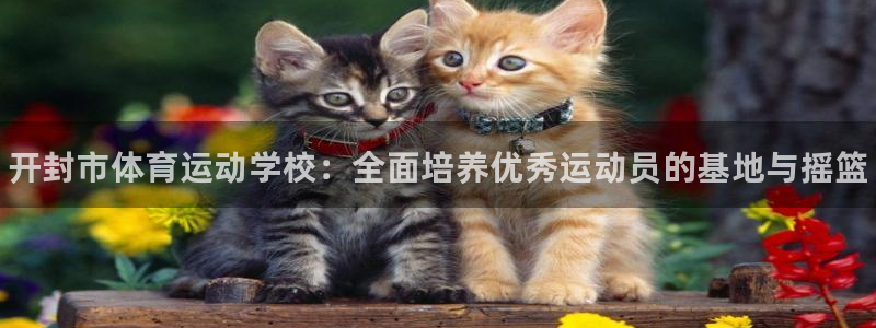 3377体育官方正版app开户