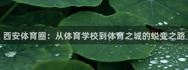 3377体育官方正版app娱乐是那个系列的台子：西安体育圈：