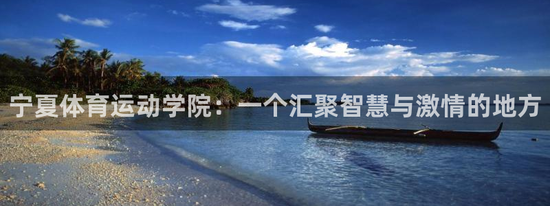 3377体育官方平台体育：宁夏体育运动学院：一个汇聚智慧与激