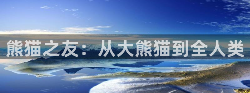 海南3377体育官网下载发展怎么样：熊猫之友：从大熊猫到全人