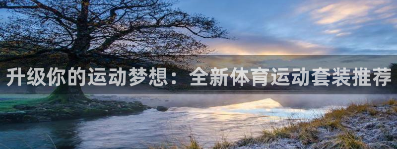 3377体育官方正版app集团官网网址：升级你的运动梦想：全