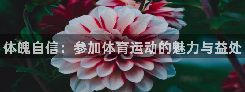 3377体育官网下载平台是正规平台吗安全吗：体魄自信：参加体