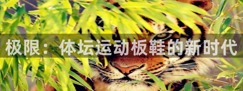 3377体育官方正版app娱乐是那个系列的台子：极限：体坛运
