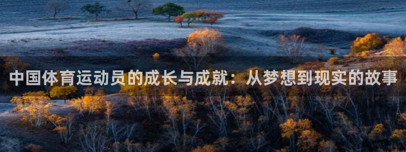 3377体育官网下载平台APP：中国体育运动员的成长与成就：