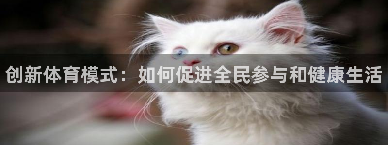 3377体育官网下载平台注册要钱吗安全吗：创新体育模式：如何