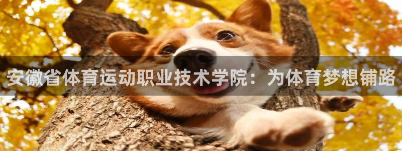 3377体育官网下载平台注册：安徽省体育运动职业技术