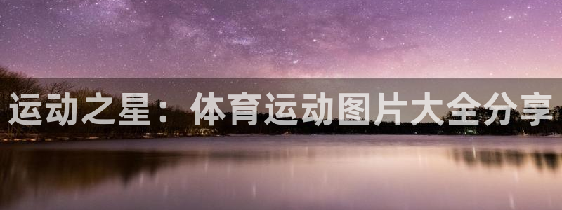 3377体育官方正版app官网：运动之星：体育运动图片大全分