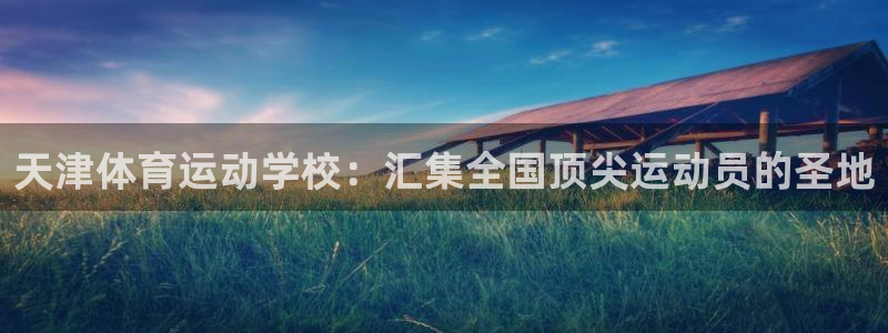 3377体育官方正版app新能源