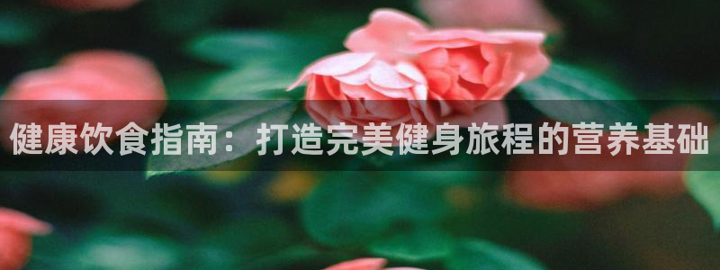 注册3377体育官方正版app：健康饮食指南：打造完美健身旅